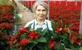 Joyful female florist with poinsettia