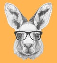 Portrait of Kangaroo with glasses.