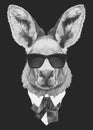 Portrait of Kangaroo in suit.