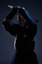 Portrait of a kendo fighter with shinai Royalty Free Stock Photo