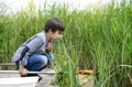 Portrait Kid boy catching creatures in pond with net in summer time,  Child explorer and learning about wild nature in countryside Royalty Free Stock Photo