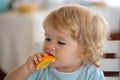 Portrait of kid eating orange Royalty Free Stock Photo