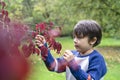 Portrait kid pointing finger to small spider climbing on red leaves, Cute little boy with proud face showing wild tiny insect on Royalty Free Stock Photo