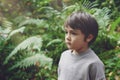 Portrait of kid standing in tropical rain forest, Active little boy looking out with couriouse face. Child having adventure in