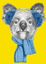 Portrait of Koala with scarf and earmuffs.