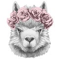 Portrait of Lama with floral head wreath.