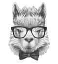 Portrait of Lama with glasses and bow tie.