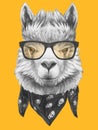 Portrait of Lama with glasses and scarf.