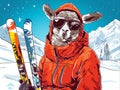 portrait of a lama in a jacket and glasses with alpine skis