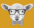 Portrait of Lamb with glasses and bow tie.