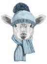 Portrait of lamb with hat and scarf.