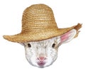 Portrait of Lamb with straw hat.