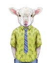 Portrait of Lamb in a summer shirt with tie. Royalty Free Stock Photo