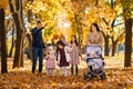 portrait of a large family with children in an autumn city park, happy people walking together, playing and throwing yellow leaves Royalty Free Stock Photo