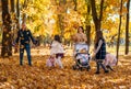 portrait of a large family with children in an autumn city park, happy people walking together, playing and throwing yellow leaves Royalty Free Stock Photo