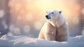 Portrait of large white bear on snow. Protection of wild animals. Polar Bear Day Royalty Free Stock Photo