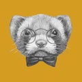 Portrait of Least Weasel with glasses and bow tie.