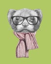 Portrait of Least Weasel with glasses and scarf.