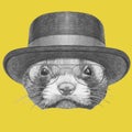 Portrait of Least Weasel with hat and glasses.