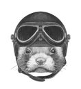 Portrait of Least Weasel with Vintage Helmet.