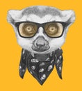 Portrait of Lemur with glasses and scarf.