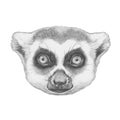 Portrait of Lemur.