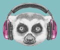 Portrait of Lemur with headphones.
