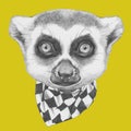 Portrait of Lemur with scarf.