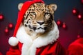 Portrait of a Leopard Dressed in a Red Santa Claus Costume in Studio with Colorful Background