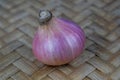 Portrait of a light red colored fresh and medium sized onion on a wood background Royalty Free Stock Photo