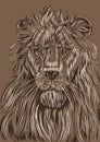 Portrait of a lion, color