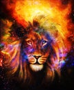 Portrait lion in cosmic space. Eye contact. Royalty Free Stock Photo