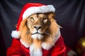 Portrait of a Lion Dressed in a Red Santa Claus Costume in Studio with Colorful Background Royalty Free Stock Photo