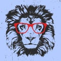 Portrait of Lion with glasses.