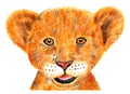 Portrait of lion. Watercolor illustration. Royalty Free Stock Photo