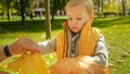 Portrait of little baby boy giving yellow autumn tree leaves to mother while walking in park. Family outdoors, happy parenting and Royalty Free Stock Photo