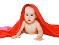 Portrait of little baby lying under towel Royalty Free Stock Photo