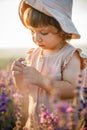 Portrait of a little beautiful girl in the rays of the sunset. Royalty Free Stock Photo