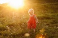 Portrait of a little beautiful girl in red dress on nature on summer day vacation. The playing in the green field at the sunset Royalty Free Stock Photo