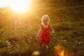 Portrait of a little beautiful girl in red dress on nature on summer day vacation. The playing in the green field at the sunset Royalty Free Stock Photo
