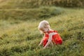 Portrait of a little beautiful girl in red dress on nature on summer day vacation. The playing in the park at the sunset time. Royalty Free Stock Photo