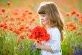 Portrait little beauty girl with wild flowers bouquet Royalty Free Stock Photo