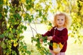 Portrait of a little blonde girl in a burgundy sweater near the foliage of a birch tree Royalty Free Stock Photo