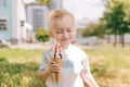 Portrait of a little boy. A baby eats a delicious ice cream cone. Happy child Royalty Free Stock Photo