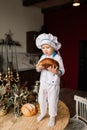 Portrait of a little boy cook at kitchen. Different occupations. Isolated over white background Royalty Free Stock Photo