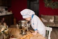 Portrait of a little boy cook at kitchen. Different occupations. Isolated over white background Royalty Free Stock Photo