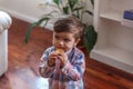 Portrait of a little boy eating a cookie while looking at the camera Royalty Free Stock Photo