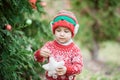 Portrait of a little boy in elf hat and red sweater near the christmas tree and holding decoration Royalty Free Stock Photo
