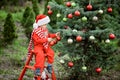 Portrait of a little boy in elf hat and red sweater near the christmas tree and holding decoration Royalty Free Stock Photo