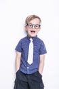 Portrait of a little boy in a funny glasses and tie. School. Preschool. Fashion. Studio portrait isolated over white background Royalty Free Stock Photo